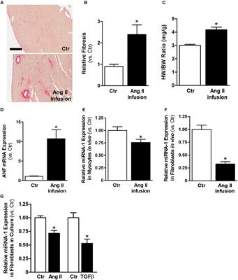 MicroRNA-1-Mediated Inhibition of Cardiac Fibroblast Proliferation Through Targeting Cyclin D2 and CDK6